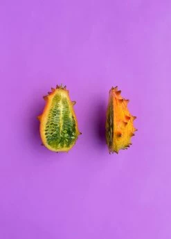 Kiwano, Orange (Cucumis Metuliferus) -Plant Care Shop 0155d9 4cf089f8c4834175a117d6b245a883bd mv2 d 3648 5472 s 4 2