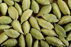 Cardamom (Elettaria Cardamomum) -Plant Care Shop 0155d9 bd2e6558ee5a48caa276691abb5c3ead mv2 d 2800 1863 s 2