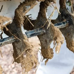 Tilther XT 17 Tilther XT -Plant Care Shop 06320 07 tilther xt long handled tool