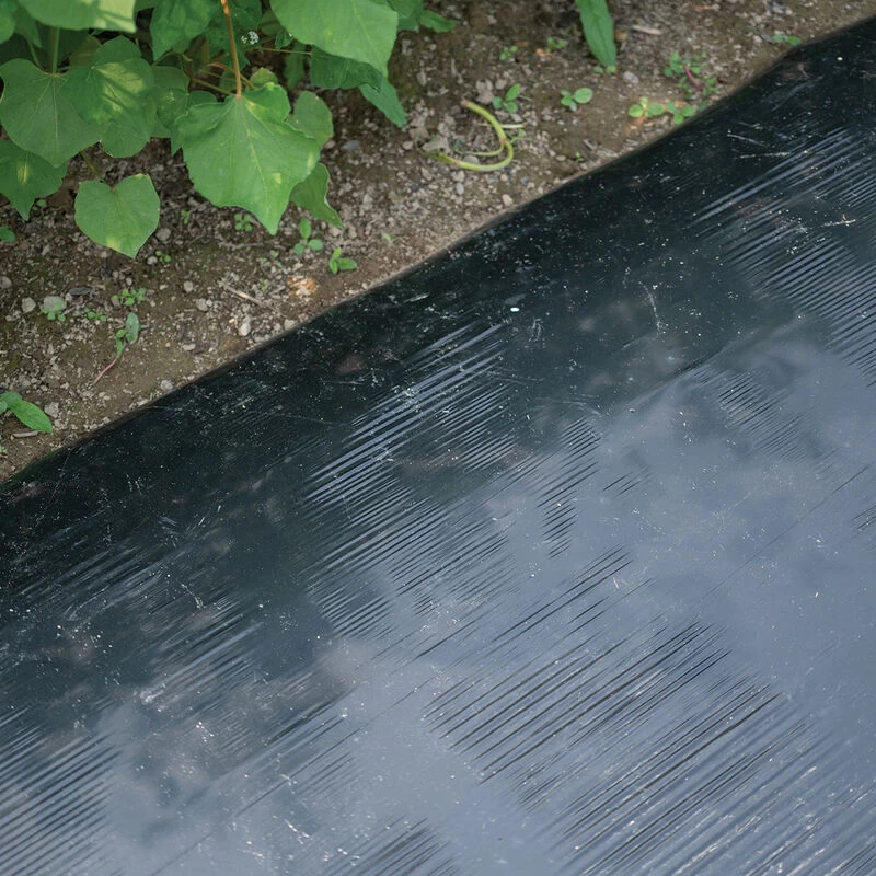 Solar Shrink – 48" X 1,000' 3 Solar Shrink – 48" X 1,000'