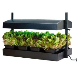 SunBlaster Growlight Garden