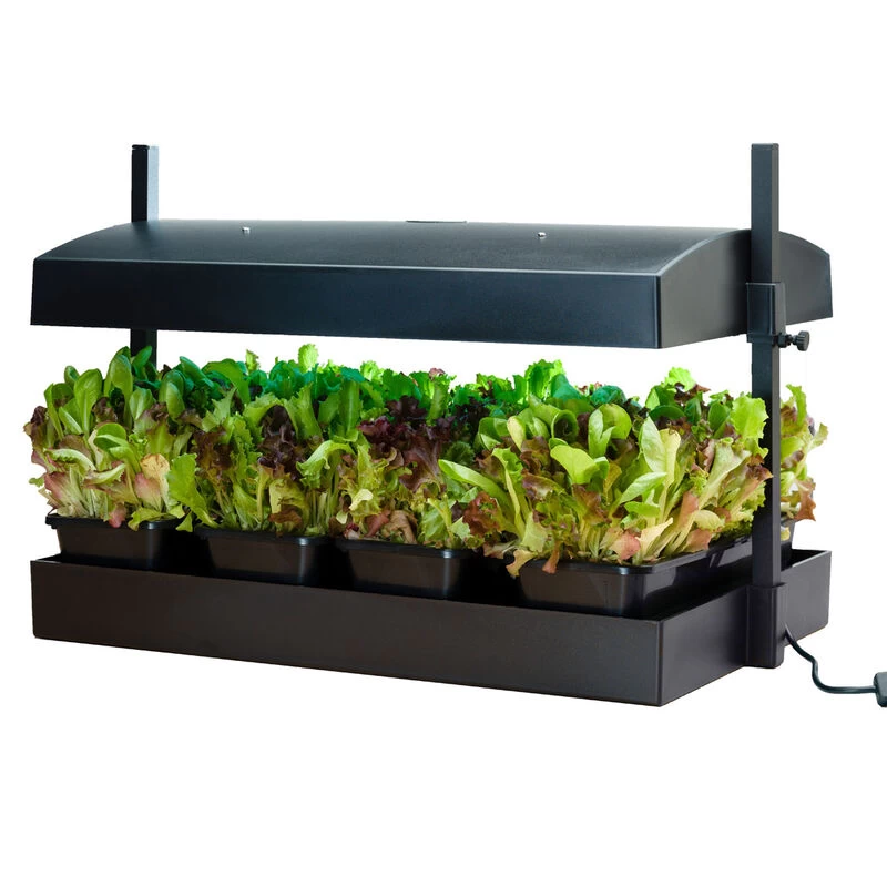SunBlaster Growlight Garden 3 SunBlaster Growlight Garden