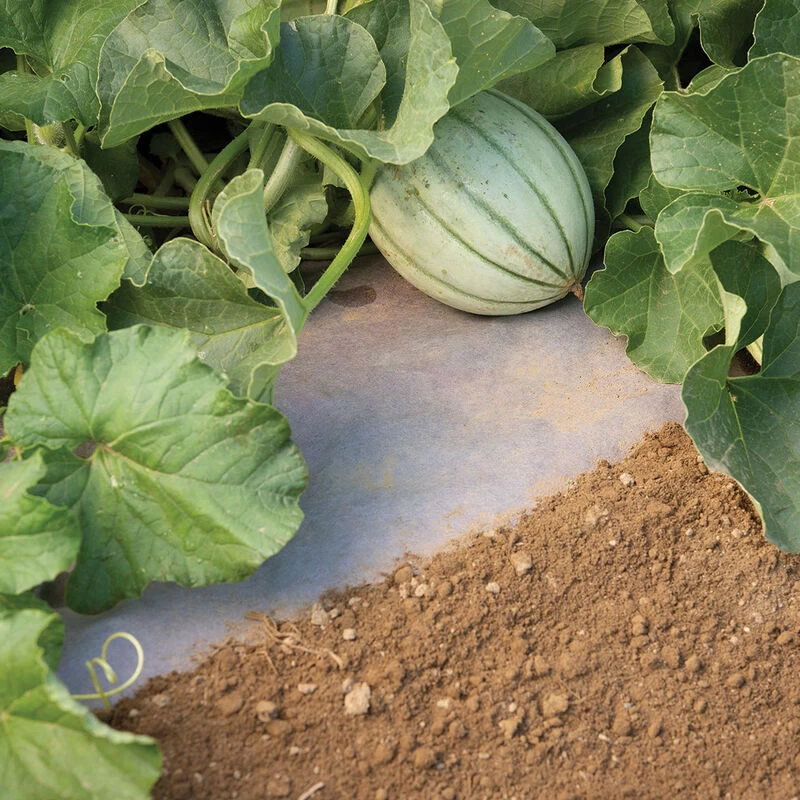 WeedGuardPlus® Paper Mulch – 48" X 250' 3 WeedGuardPlus® Paper Mulch – 48" X 250'