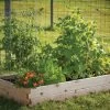 Cedar Raised Garden Bed – 3' X 6' 2 Cedar Raised Garden Bed – 3' X 6' -Plant Care Shop 06798 01 cedarraisedbed