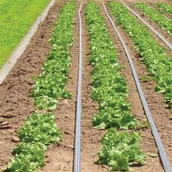 Johnny's Drip Irrigation Kit – 1,000'