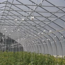 Rollerhook® – 25 Count 7 Rollerhook® – 25 Count -Plant Care Shop 07047 02 rollerhookgreenhouse