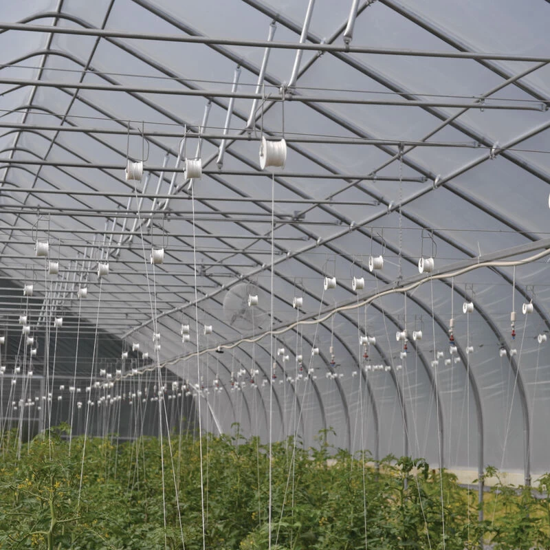 Rollerhook® – 25 Count 5 Rollerhook® – 25 Count - Image 3