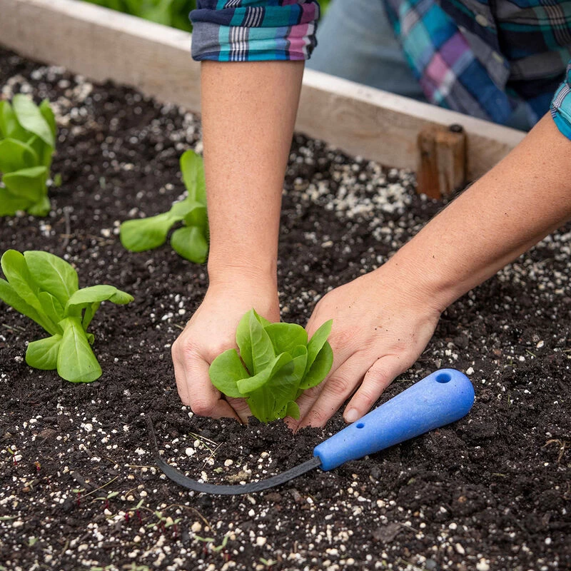 CobraHead® – Mini 4 CobraHead® – Mini - Image 2