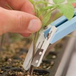 Miter-Cut Grafting Knife -Plant Care Shop 07172 04 mitercutgrft knife