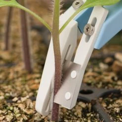 Miter-Cut Grafting Knife -Plant Care Shop 07172 05 mitercutgrft knife