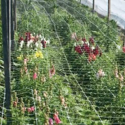 Hortonova FA – 36" X 328'