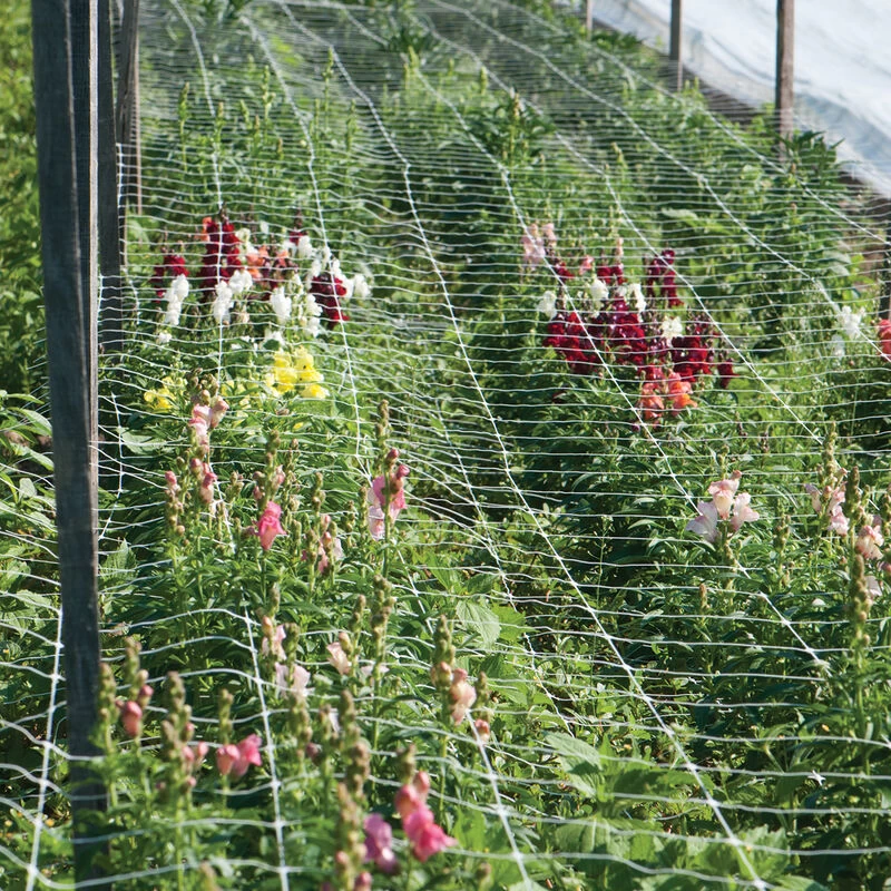 Hortonova FA – 36" X 3,280' 3 Hortonova FA – 36" X 3,280'