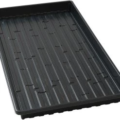 Lightweight Shallow Trays (with Holes) – 100 Count