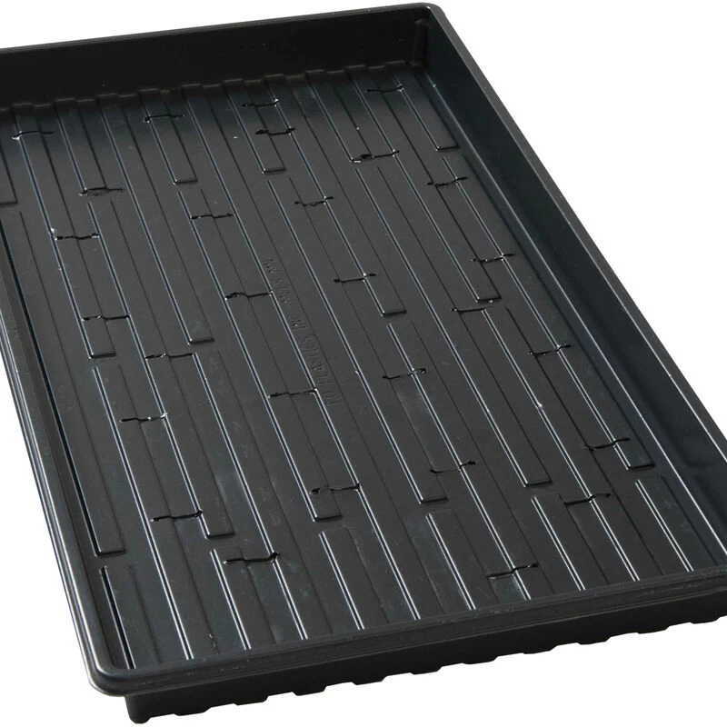 Lightweight Shallow Trays (with Holes) – 100 Count 3 Lightweight Shallow Trays (with Holes) – 100 Count