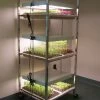 Compact Seedling Light Cart – 6 Trays, 120 Watts -Plant Care Shop 07296 01 compactsdlng light cart