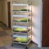 Compact Seedling Light Cart – 8 Trays, 160 Watts -Plant Care Shop 07299 01 compactseedlinglightcart