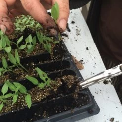 Widger -Plant Care Shop 07340 02 widger apppic