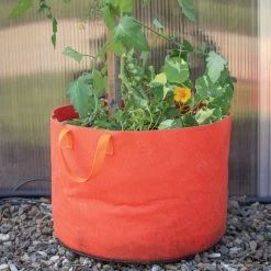 Smart Pot® Vivid Color, Mandarin Orange – 15 Gal. -Plant Care Shop 07528 02 oragne