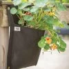 Wall Flower Hanging Planter – Single Bag -Plant Care Shop 07529 01 wallflower planter