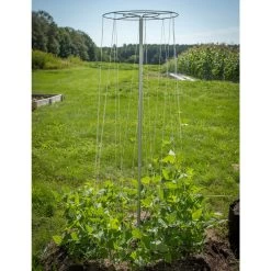 Bean Tower – 60" -Plant Care Shop 07540 04 beantower