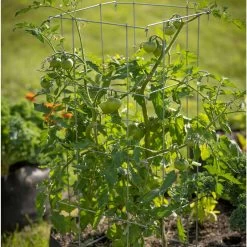 Tomato Cages – 40"