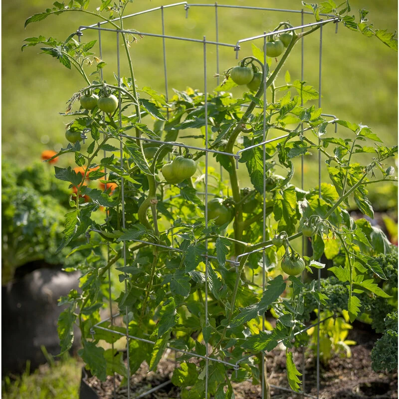 Tomato Cages – 40" 3 Tomato Cages – 40"