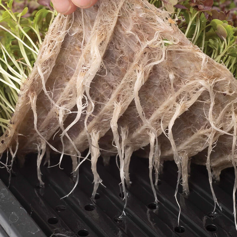 Terrafibre Hemp Grow Mats, 10" X 20" – 140 Count 5 Terrafibre Hemp Grow Mats, 10" X 20" – 140 Count - Image 3