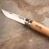 Opinel No. 10 Pocket Knife -Plant Care Shop 07704 01 opinel 4in