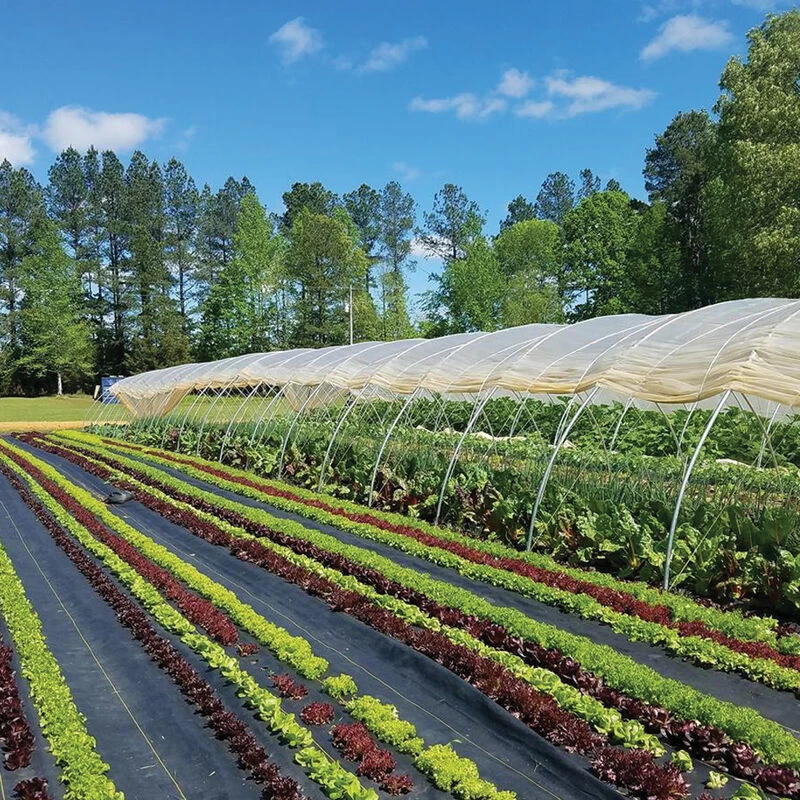 Sunbelt Black Ground Cover – 6' X 500' 3 Sunbelt Black Ground Cover – 6' X 500'