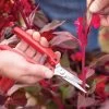 ARS SE45 Floral Shears -Plant Care Shop 07804 02 floral harvest snips