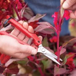 ARS SE45 Floral Shears