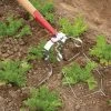 Spring Hoe – 3.5" -Plant Care Shop 07923 01 springhoe