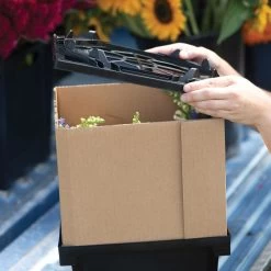 Florida Lid 9 Florida Lid -Plant Care Shop 07925 04 floridalid