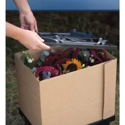 Valencia Lid 9 Valencia Lid -Plant Care Shop 07931 04 valencialid