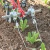 Torsion Weeders -Plant Care Shop 07970 01 torsion weeders