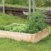 Cedar Raised Garden Bed – 4' X 4' 2 Cedar Raised Garden Bed – 4' X 4' -Plant Care Shop 07977 01 cedar raised bed