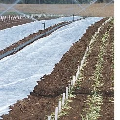 Agribon+ AG-19 – 83" X 250'