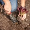 Trowel – Transplant -Plant Care Shop 09125 02 102trowel