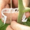 Tomato Trellis Clips – 500 Count -Plant Care Shop 09133 01 tomatoclip