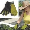 Women's Stem – L -Plant Care Shop 09275 01 gardglovestemxs