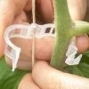 Tomato Trellis Clips – 100 Count -Plant Care Shop 09624 01 tomatoclip