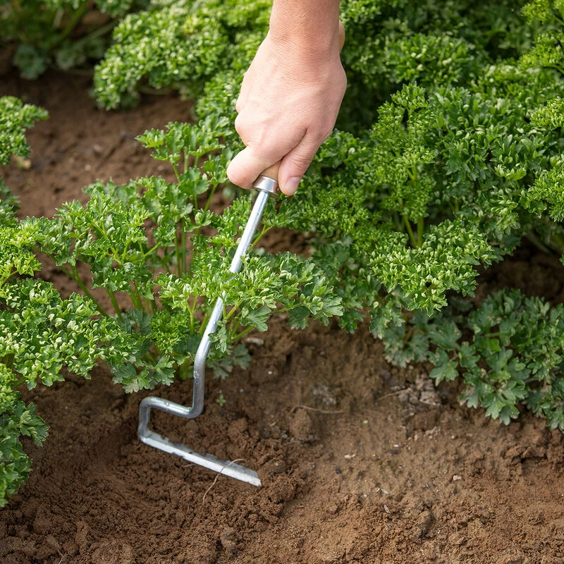 Wire Weeder 4 Wire Weeder - Image 2