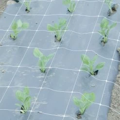 Hortonova FA – 48" X 328'