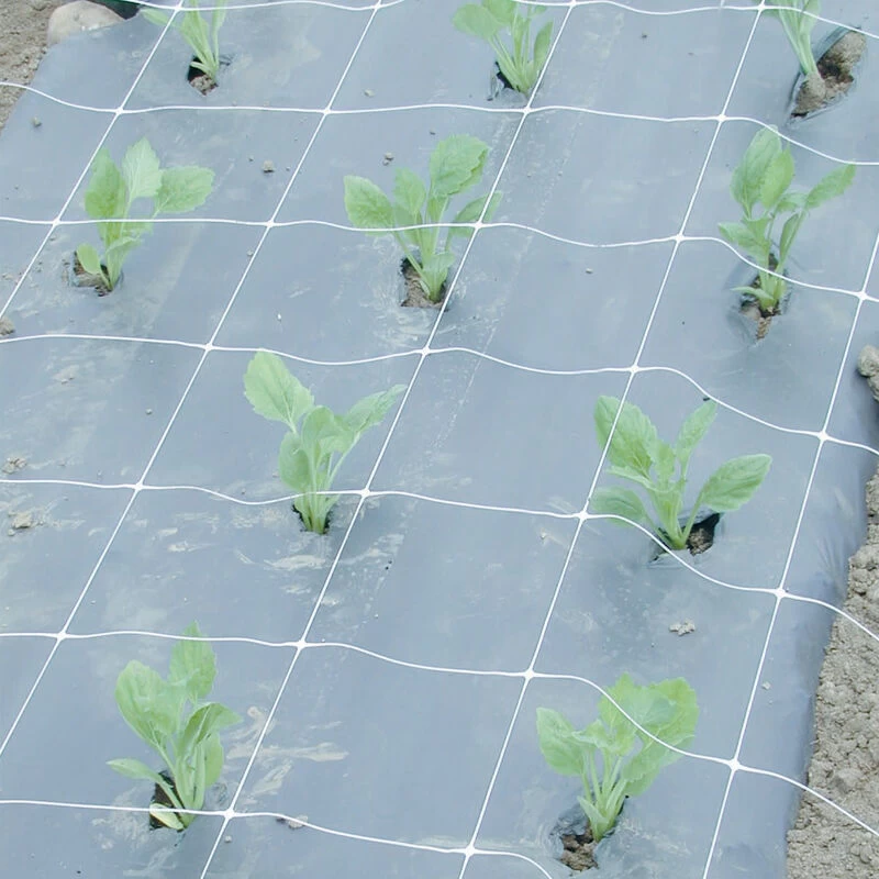 Hortonova FA – 48" X 328' 3 Hortonova FA – 48" X 328'