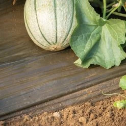 Solar Mulch – 4' X 50'