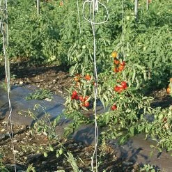Tomato Twine – 1,000'