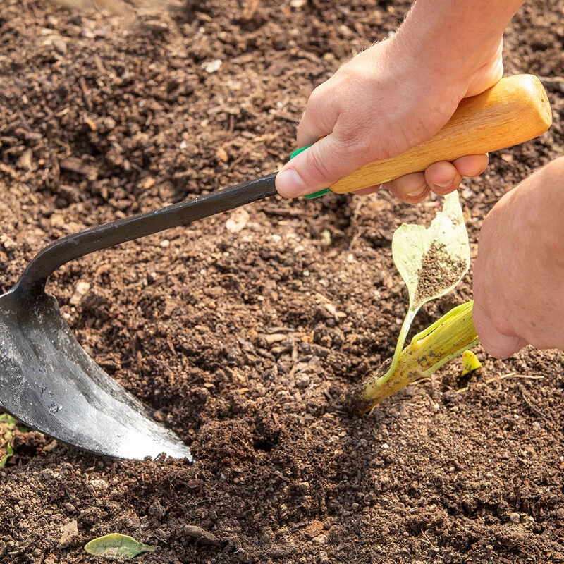 Ho-Mi EZ Digger 4 Ho-Mi EZ Digger - Image 2