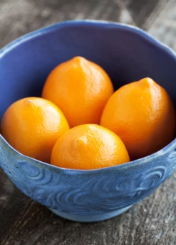 Meyer Lemon (Citrus × Meyeri) -Plant Care Shop 2 b8f139e8 89a6 4fec 87d7 ef00c1f49d19