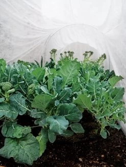 Summerweight Garden Fabric -Plant Care Shop 32644 7936 tif