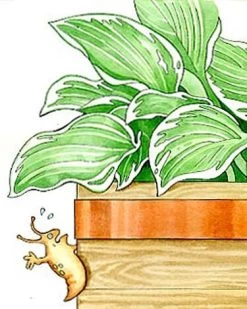 Copper Slug Tape -Plant Care Shop 38 994 b